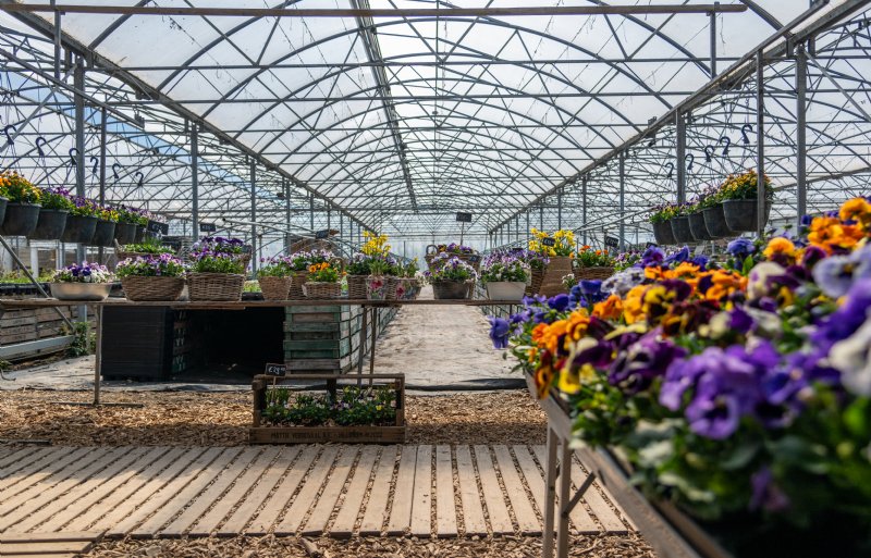 De kas biedt ruimte voor tuinplanten en activiteiten.

