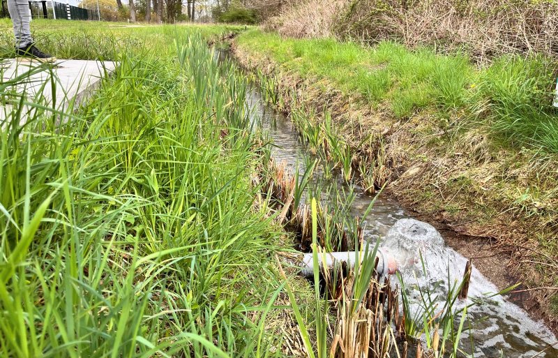 80 procent van de varkensmest wordt loosbaar water.