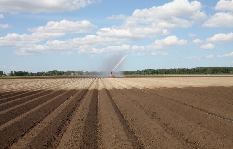 De Flevolandse akkerbouwer beregent de ruggen voordat hij winterpeen zaait.