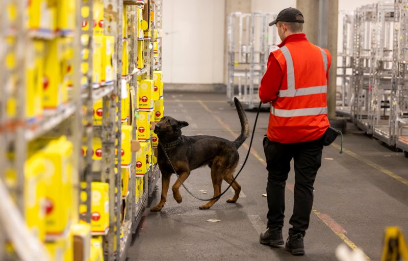 Controle op verdovende middelen is een van de preventieve maatregelen in de aanpak Weerbare Sierteeltsector bij Royal FloraHolland in Aalsmeer.