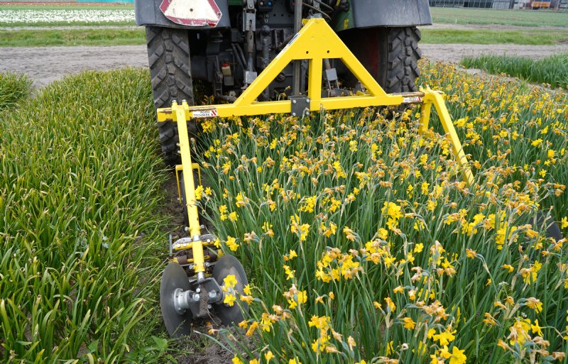 Met de rijpadenschoffel is veel onkruid mechanisch te verwijderen.