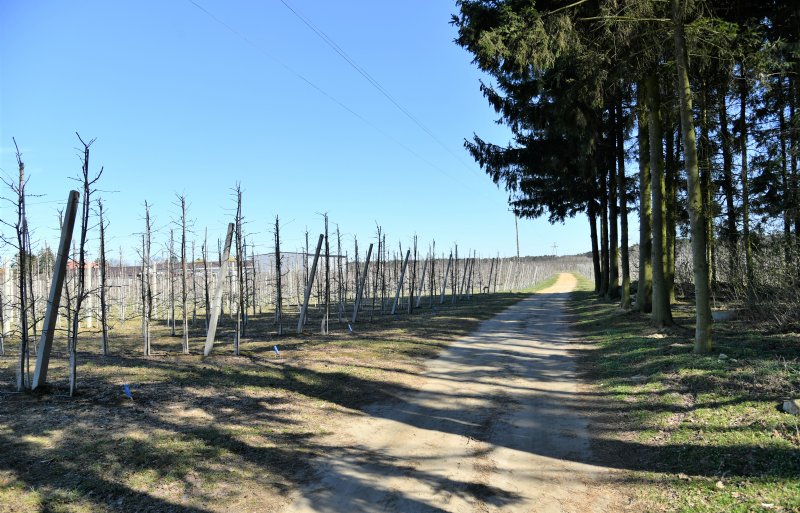 Dit jaar hoopt de fruitteler op 30 ton per hectare.