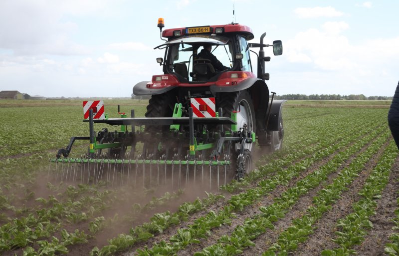 Met de Greenline Rotor kunnen akkerbouwers, naast onkruid wieden, korsten breken en beluchten met een hoge werksnelheid.