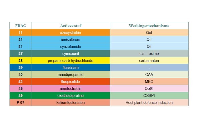 Een deel van de phytophthorapopulatie is resistent tegen actieve stoffen uit groep 40 (CAA’s) en/of 49 (OSBPI’s). Zorg er daarom voor dat in een tankmix met producten uit de Frac-groepen 40 en 49 ook altijd een sterke preventieve partner uit een andere groep wordt toegevoegd.