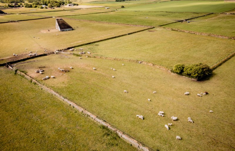 De Hoge Berg is de bakermat van het Texelse schaap.