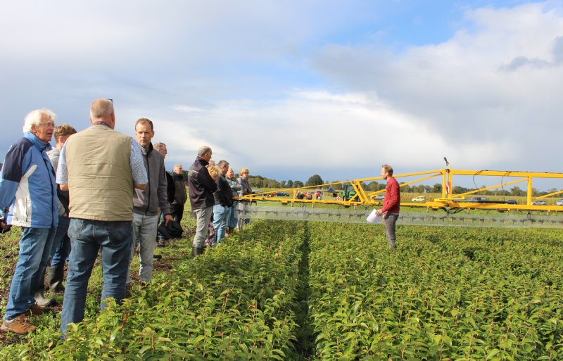 HLB-onderzoeker Ben Seubring (rechts) geeft een toelichting op de mogelijkheden van lelieteelt zonder chemie tijdens een veldbijeenkomst voor omwonenden in Drenthe.