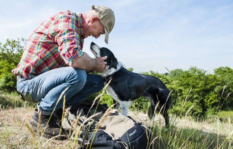 Henry Hoiting, schapenhouder in Appelscha op de grens van Friesland en Drenthe