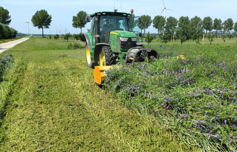 De basis voor de mulchteelt is een mulchmengsel met wikke en rogge.