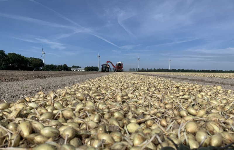 Voor zilveruien en eerstejaars plantuien is een maximale bescherming nodig.