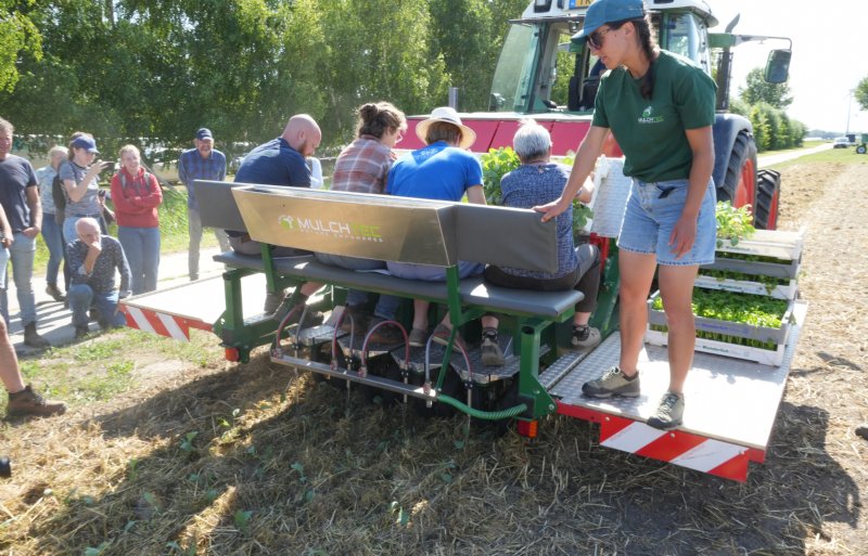Er was veel interesse voor de demonstratie 'Kool planten in een mulchlaag' tijdens de Biovelddag.