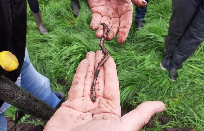 Collectief Water, Land en Dijken biedt onder meer bodemcoaching aan via het Landbouwportaal. Hoogheemraadschap Hollands Noorderkwartier financiert dit. Boeren kunnen er gratis gebruik van maken om hun bodem te verbeteren.