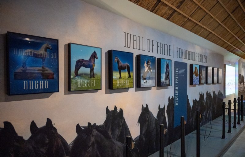 De expositie begint met een Wall of Fame voor Friese paarden.