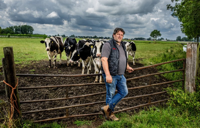 Cees de Jong, melkveehouder in het Zuid-Hollandse Hoogblokland.