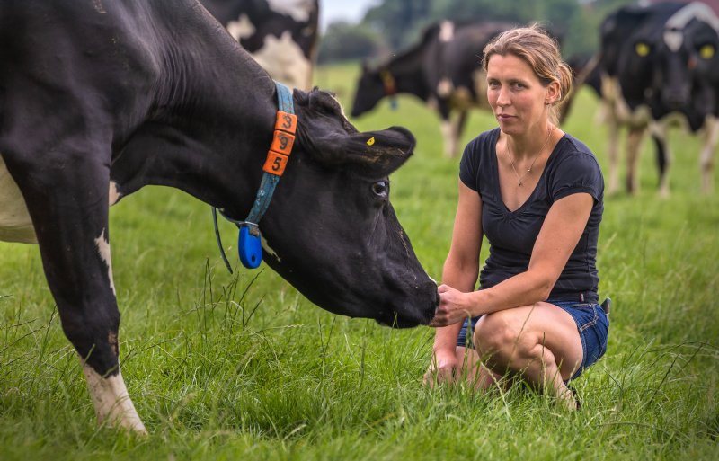 Tjesje Terwisscha van Scheltinga, melkveehouder in het Friese Reahûs
