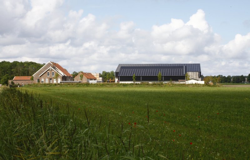 Het bedrijf van de familie Van Eck op Goeree-Overflakkee.