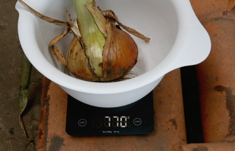 Een plantui van 770 gram.