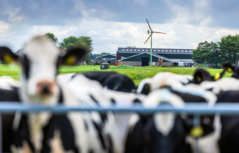 Met wind- en zonne-energie is de familie Annema zelfvoorzienend.
