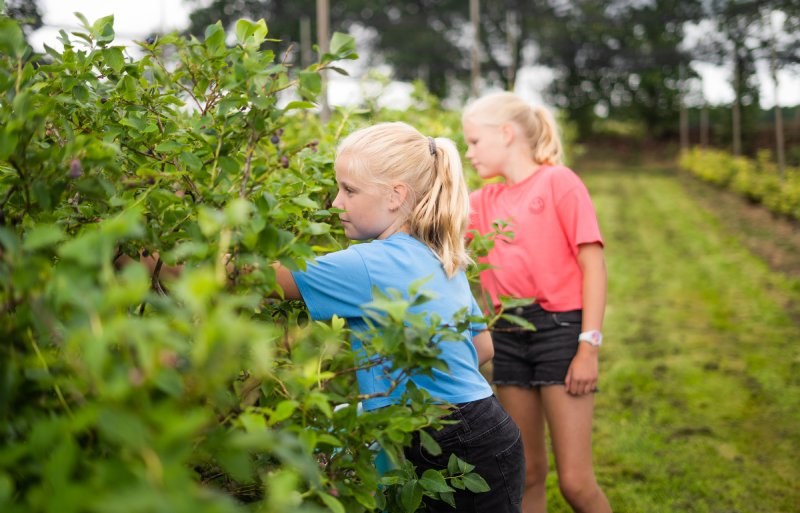 Kinderen zijn actief bezig met waar hun eten vandaan komt.