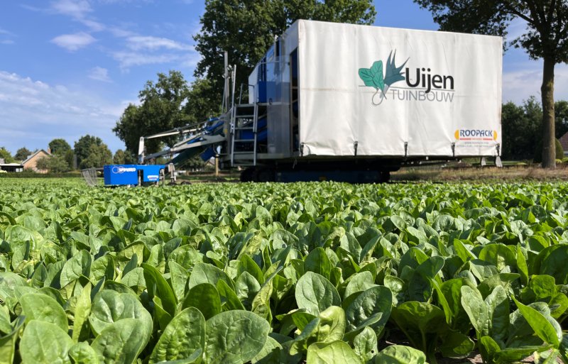 Een gekeerde gps-gestuurde oogstmachine op rupsbanden op het spinazieperceel in Langenboom.