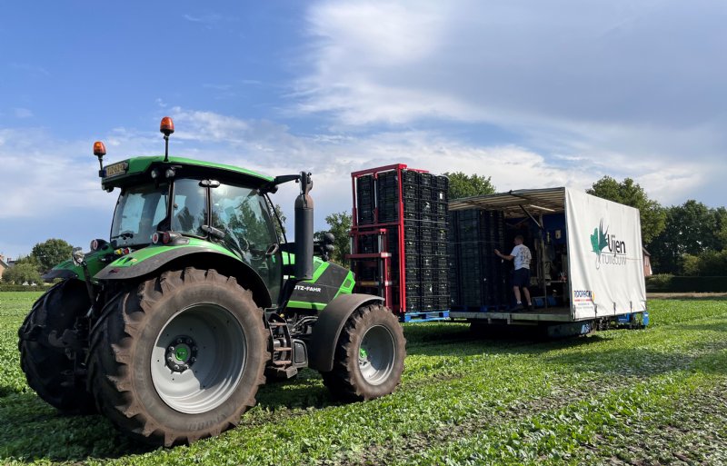 Een volle pallet met kratten spinazie wordt naar de wagen aan de rand van het perceel gebracht.