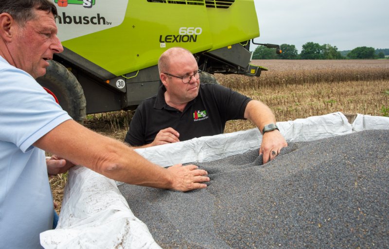 Ondernemer John Cox (links) en loonwerker Ruud Steinbusch checken het blauwmaanzaad.
