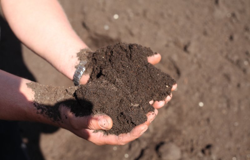 De compost zit boordevol met elementen, zoals calcium, fosfaat, kalium, magnesium, mangaan, stikstof en zwavel.