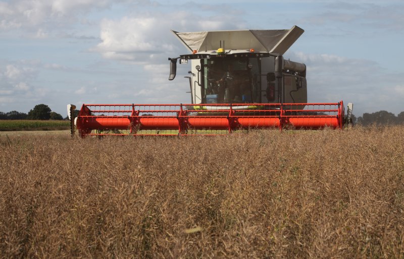 Vanwege de droge start van het groeiseizoen en de matige bodemstructuur valt de opbrengst van het koolzaad wel lager uit dan gehoopt.