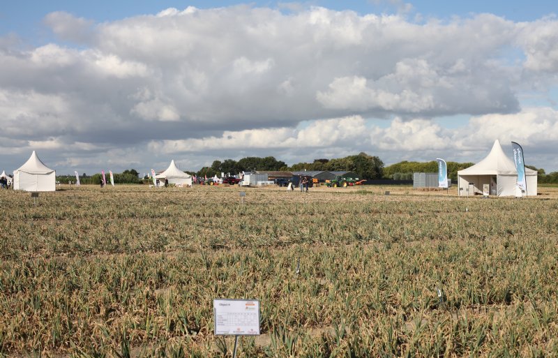 Uiendag 2025 op proefboerderij Rusthoeve in het Zeeuwse Colijnsplaat.