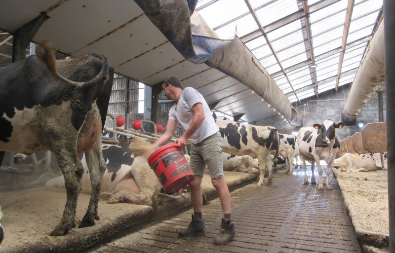 De diervriendelijke boxen op het bedrijf van Warmerdam worden goed bezet.