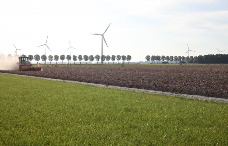 Loofklappen op het perceel van 25 hectare, waar volgende week de rooidemonstraties plaatsvinden.