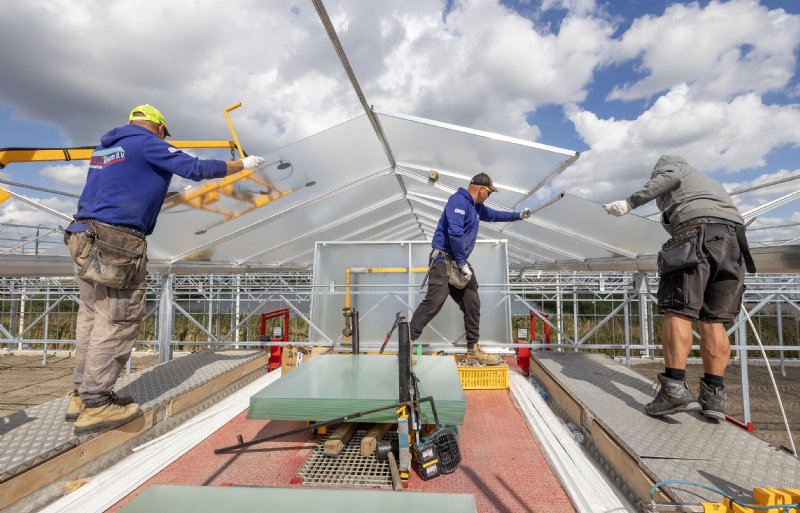 Eén energiezuinige kas op de plek van twee oude kassen.
