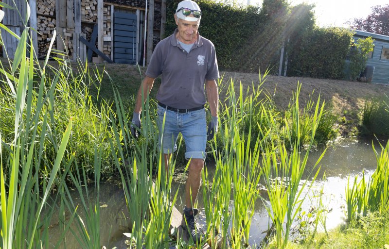 Ad Verbeek steekt de sloot tussen zijn huis en de boomgaard over.