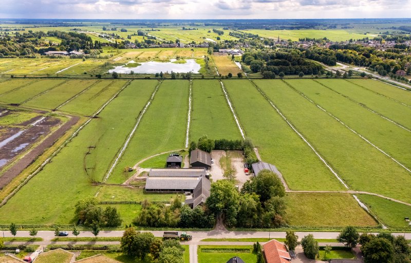 De boerderij in Wilnis.