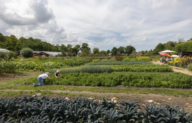 Naast de biodiversiteit zet Max van Tilburg zich ook in voor de maatschappij. 'Wij hebben op deze locatie een hofwinkel, zelfoogsttuin, bloemenpluktuin en een bed and breakfast.'
