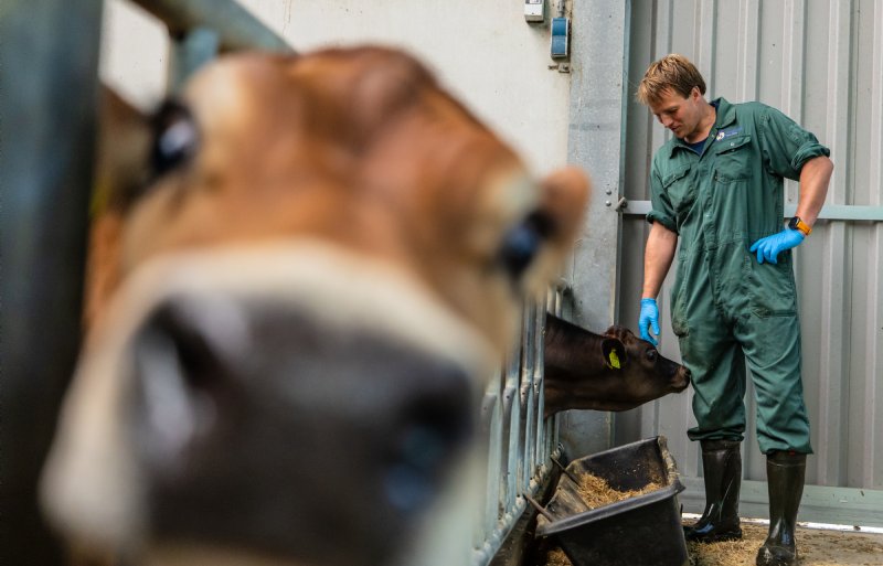 ‘Geen dag is hetzelfde’, zegt Postma.