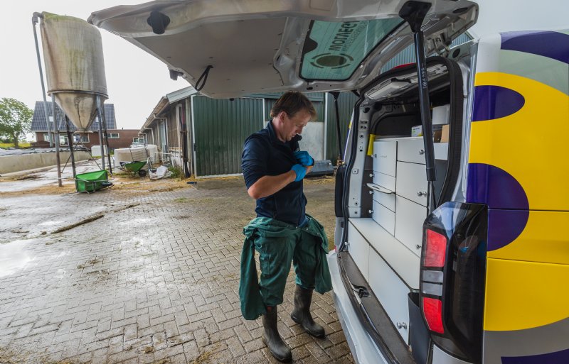 De rundveedierenarts ent alle melkkoeien op een bedrijf tegen mastitis.