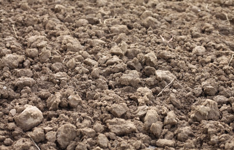 De bonkige grond van Möhren in de deelstaat Rijnland-Palts.
