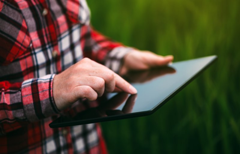 Koppert, specialist in biologische gewasbescherming, heeft een eigen variant op ChatGPT ontwikkeld. Telers kunnen met deze Digital Assistant chatten over de ziekten en plagen in hun gewas.