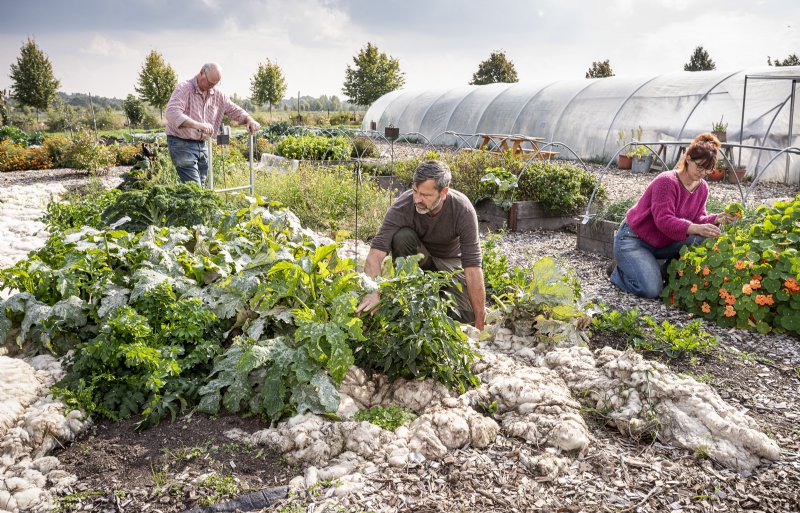 De Genaenhof 2.0 heeft in de afgelopen jaren duidelijk vorm gekregen, onder meer met een moestuin.