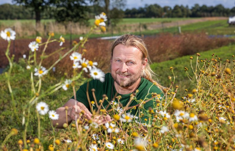 Jasper Helmantel, kweker van wildebloemenzaden en inheemse planten in Nijerberkoop (FR)