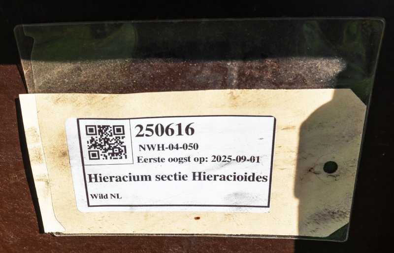 Aan de zaden komt per zak tijdens de oogst een label met een QR-code.