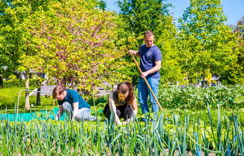 Studenten komen veel op bedrijven. Ze staan echt met hun voeten in het zand of de klei.