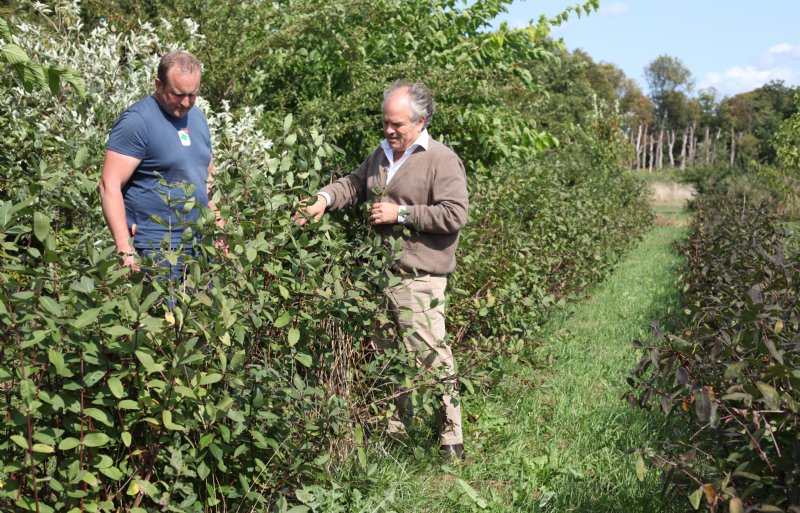 Pim Clotscher (links) en Maarten van Dam.