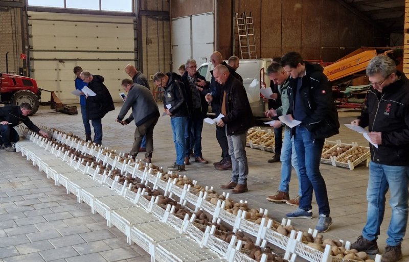 De aardappelpilot trok veel aandacht, waarbij werd geconcludeerd dat worteldominantie groeit door goede rassen of biostimulanten.