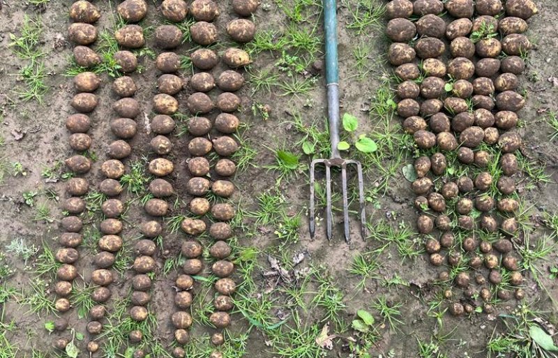 De kennis die is opgedaan in de pilot wordt komend jaar verder benut binnen het programma WaterWinst.