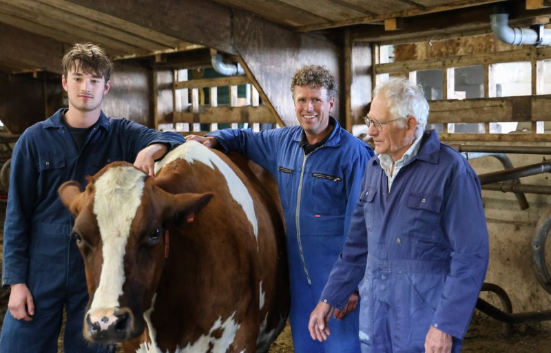 De liefde voor het vee bindt Duco, Joeri en Cees Ham. 'Je bent er voortdurend mee bezig.'