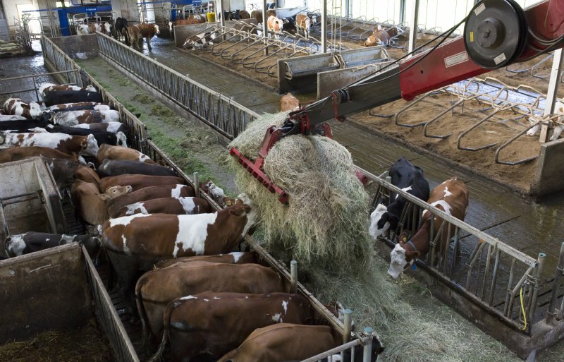 Het hooiseizoen was altijd erg intensief op het bedrijf van Twan Linssen.