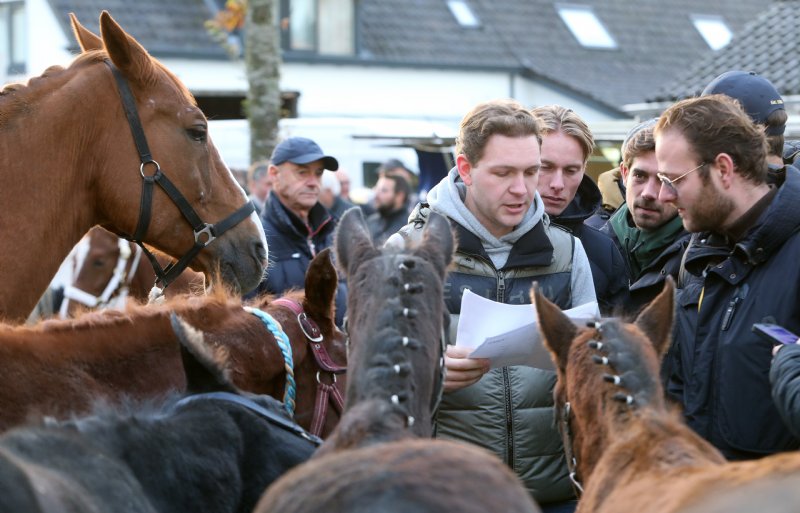 Vlotte handel in Hedel op markt met minder paarden.