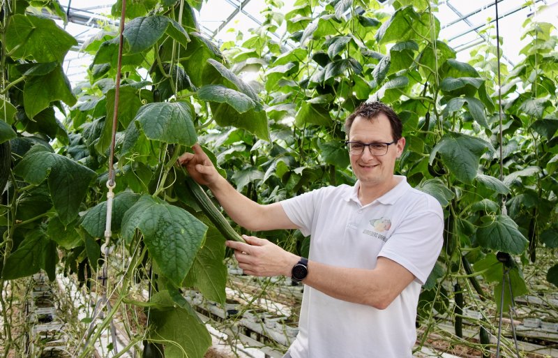 Kees Vahl, komkommerteler in IJsselmuiden