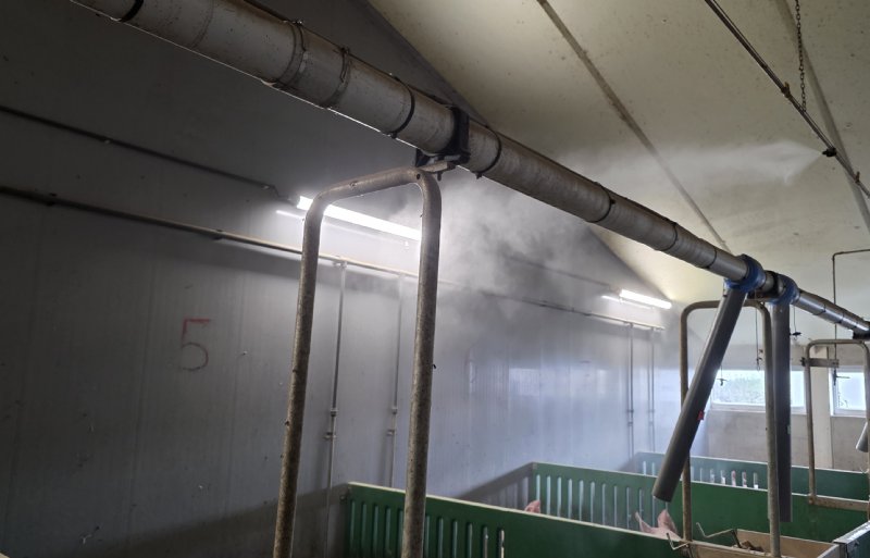Vernevelen verlaagt de temperatuur in de stal met minimaal 2,5 graden Celsius.